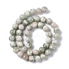 Natural Peace Jade Beads Strands X-G-G905-07-6MM-3
