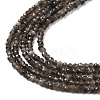 Natural Silver Sheen Obsidian Beads Strands G-E608-A02-A-3