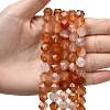 Natural Red Agate Beads Strands G-Z119-A02-03-2