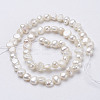 Natural Cultured Freshwater Pearl Beads Strands PEAR-P002-54-2