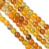 Dyed Natural Dragon Veins Agate Beads Strands G-C068-6mm-15-3