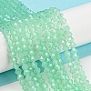 Baking Paint Transparent Glass Beads Strands DGLA-F029-J4mm-05-2