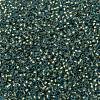 TOHO Round Seed Beads SEED-JPTR11-0995FM-2