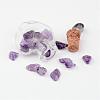 Heart Glass Bottle with Amethyst inside Pendants PALLOY-JF00172-04-2