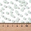 Opaque Baking Paint Glass Seed Beads SEED-T008-02M-5