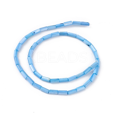 Natural Freshwater Shell Dyed Beads Strands X-SHEL-M018-11-06-1