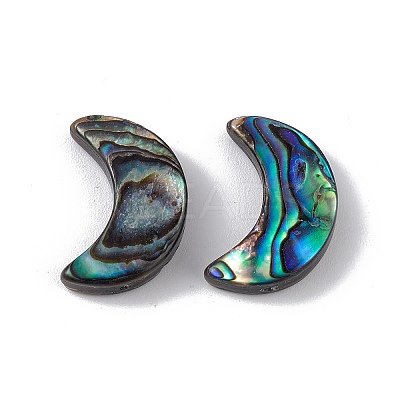 Natural Abalone Shell/Paua Shell Beads SSHEL-M021-08-1