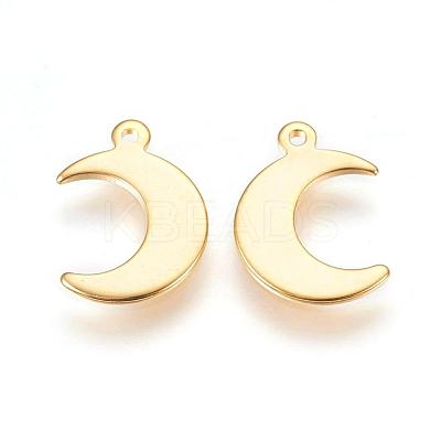 304 Stainless Steel Charms STAS-H557-31G-1