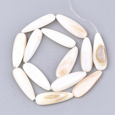 Natural Freshwater Shell Beads Strands X-SHEL-S274-73-1
