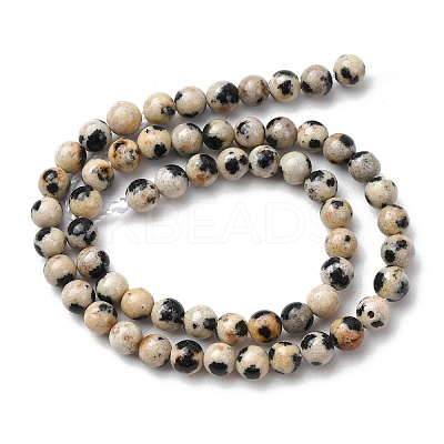 Natural Dalmatian Jasper Beads Strands G-Z116-A10-3mm-1