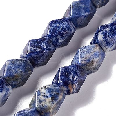 Natural Sodalite Beads Strands G-L235A-15-1
