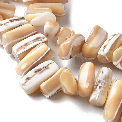 Dyed Natural Trochus Shell Beads Strands X-SSHEL-C013-09K-1
