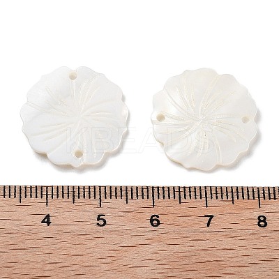 Natural Freshwater Shell Pendants SHEL-D082-14A-1