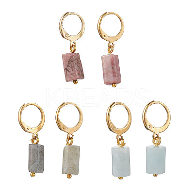 3 Pairs 304 Stainless Steel Natural Mixed Stone Leverback Earrings EJEW-JE06527-01-1