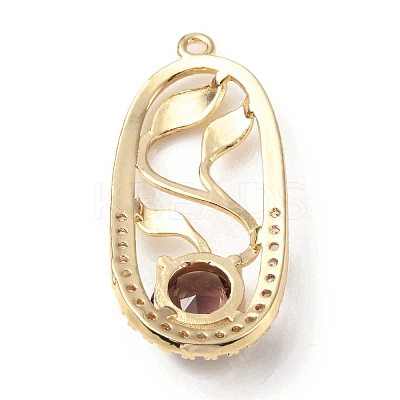 Brass with K9 Glass & Rhinestone Pendants KK-C024-05KCG-01-1