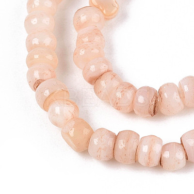 Natural Freshwater Shell Dyed Beads Strands SHEL-T020-29B-05-1