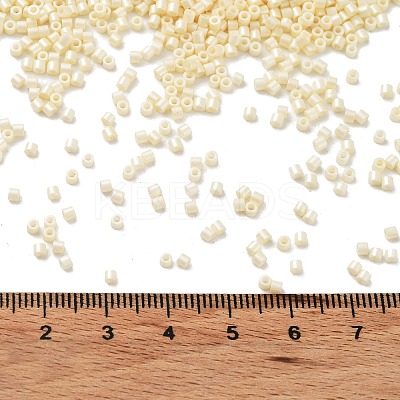 Baking Paint Glass Seed Beads SEED-S042-15B-25-1
