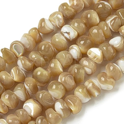 Natural Trochus Shell Beads Strands BSHE-G039-01A-1