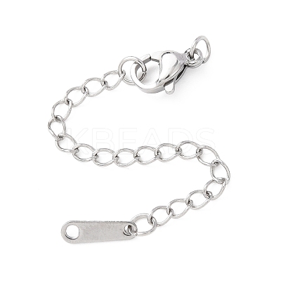 304 Stainless Steel Chain Extender with Teardrop Charms STAS-G383-08P-1