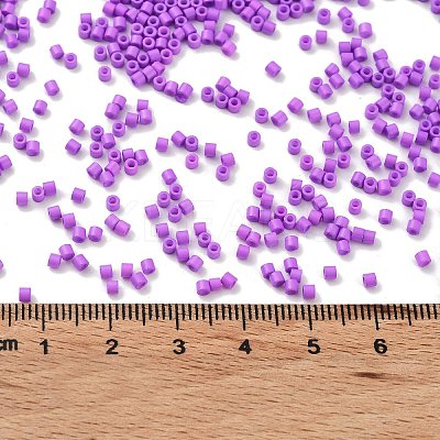 Baking Paint Glass Seed Beads SEED-S042-05B-72-1