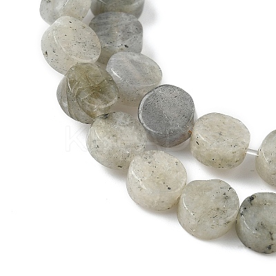 Natural Labradorite Beads Strands G-M454-B07-1