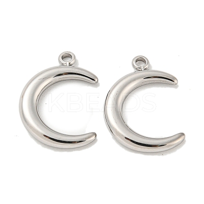 Non-Tarnish 304 Stainless Steel Pendants STAS-L022-223P-1