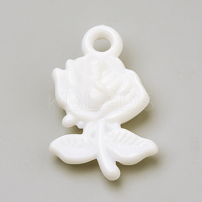 Opaque Acrylic Pendants SACR-Q190-61O-1