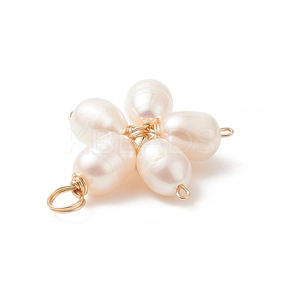 Natural Cultured Freshwater Pearl Pendants PALLOY-JF02024-1