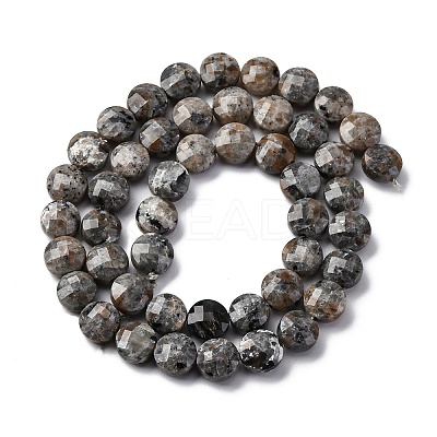Natural Fluorescent Syenite Rock(Glow under UV Light) Beads Strands G-C179-A39-03-1