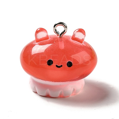 Marine Series Transparent Resin Pendants RESI-E031-02P-04-1