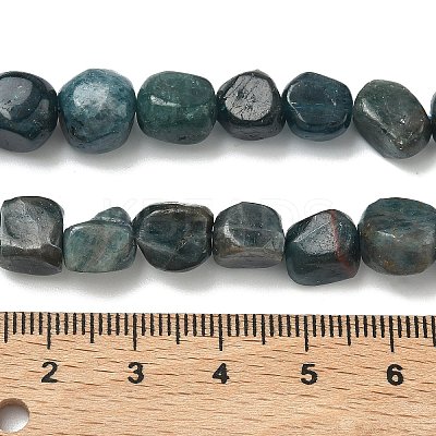 Natural Apatite Beads Strands G-R445-8x10-24A-1