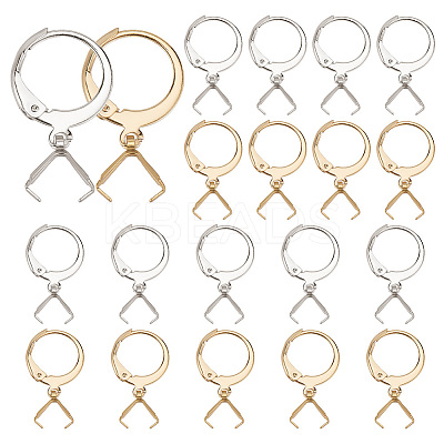 20 Pair 2 Color 304 Stainless Steel Leverback Earring Findings EJEW-AB00047-1