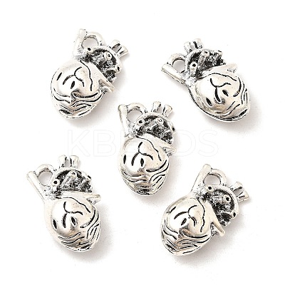 Tibetan Style Alloy Pendants FIND-NH0001-17AS-02-1