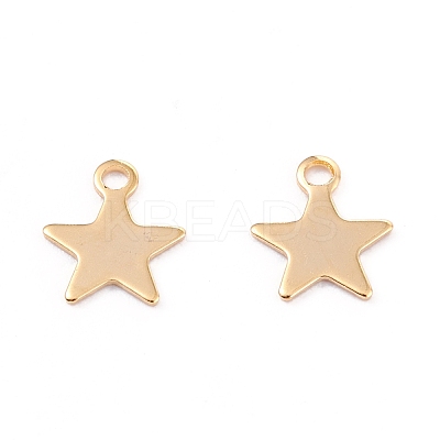201 Stainless Steel Charms STAS-B001-14A-G-1