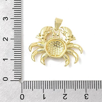 Brass Enamel Pendants KK-H529-44G-1