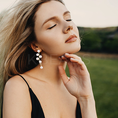 1 Pair ABS Plastic Imitation Pearl Beaded Leafy Branch Dangle Stud Earrings EJEW-AN0001-51-1