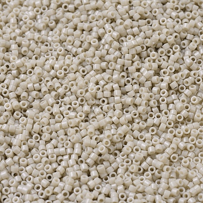 MIYUKI Delica Beads X-SEED-J020-DB0261-1
