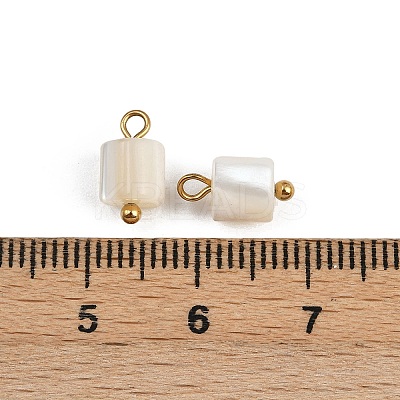 Natural Shell Column Charms STAS-D378-32G-1