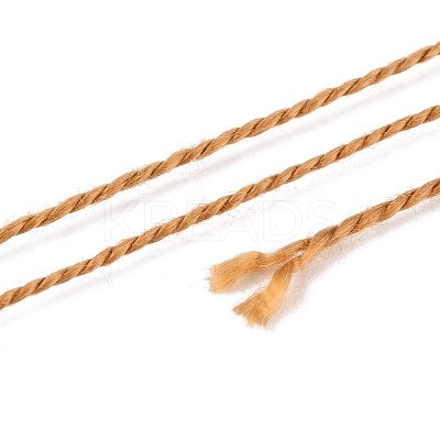 Braided Polyester Cord OCOR-T017-04A-34-1