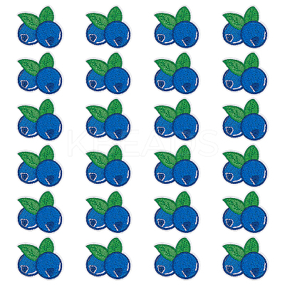24Pcs Blueberry Computerized Embroidery Cloth Iron On/Sew On Patches PATC-BC0001-24-1