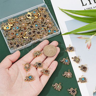 60Pcs Natural & Synthetic Mixed Gemstone Pendants PALLOY-PH0022-26-1