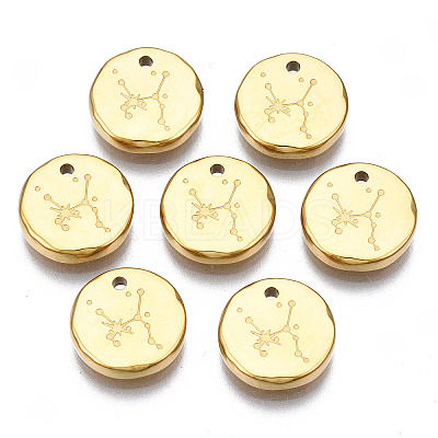 316 Surgical Stainless Steel Charms LS-STAS-S116-418G-G-1