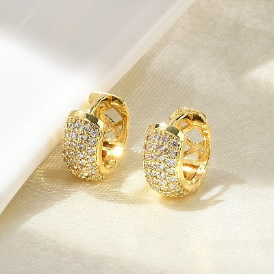 Brass Micro Pave Cubic Zirconia Hoop Earrings EJEW-D311-078G-1