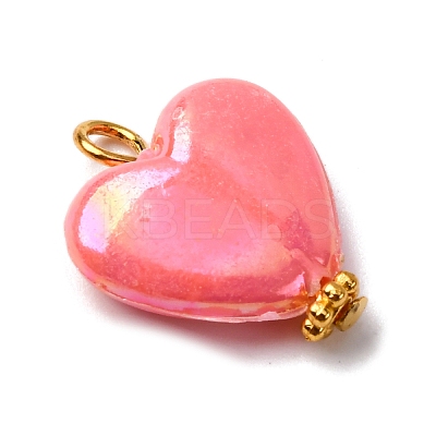 Opaque Acrylic Pendants PALLOY-JF04421-01-1