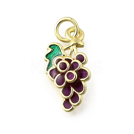 Brass Enamel Pendants KK-Q066-21G-1