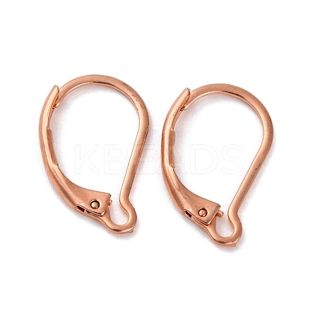 304 Stainless Steel Leverback Earring Findings STAS-K233-04RG-1