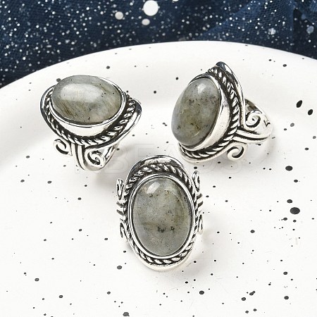Natural Labradorite Adjustable Rings RJEW-I108-01AS-03-1