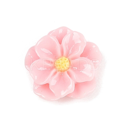 Opaque Resin Cabochons CRES-D283-01C-02-1