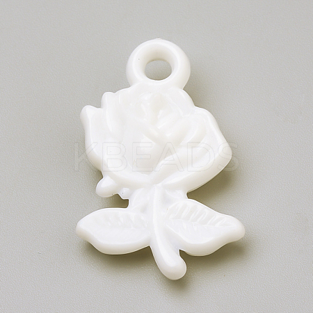 Opaque Acrylic Pendants SACR-Q190-61O-1