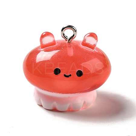 Marine Series Transparent Resin Pendants RESI-E031-02P-04-1